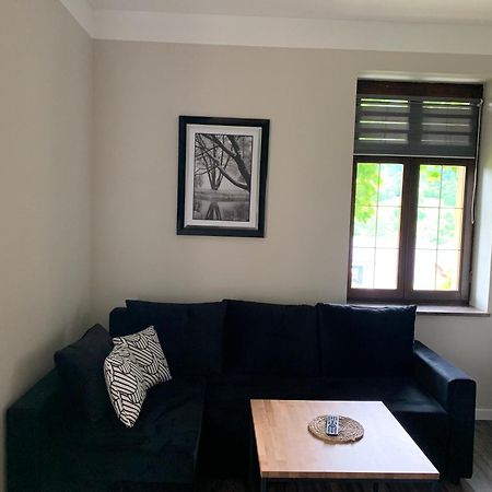 Apartamenty Villa Akant ピエホビツェ エクステリア 写真