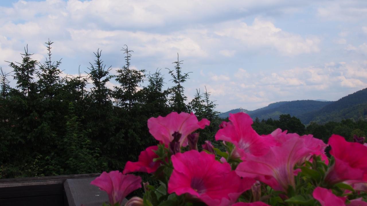 Apartamenty Villa Akant ピエホビツェ エクステリア 写真